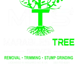 Logo for a tree service company with a green tree design; says "MANAGED TREE SERVICE". Lists removal, trimming, & stump grinding.