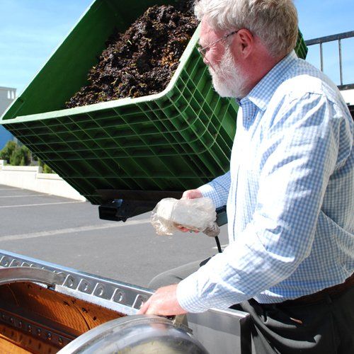 grapes in a basket for wine