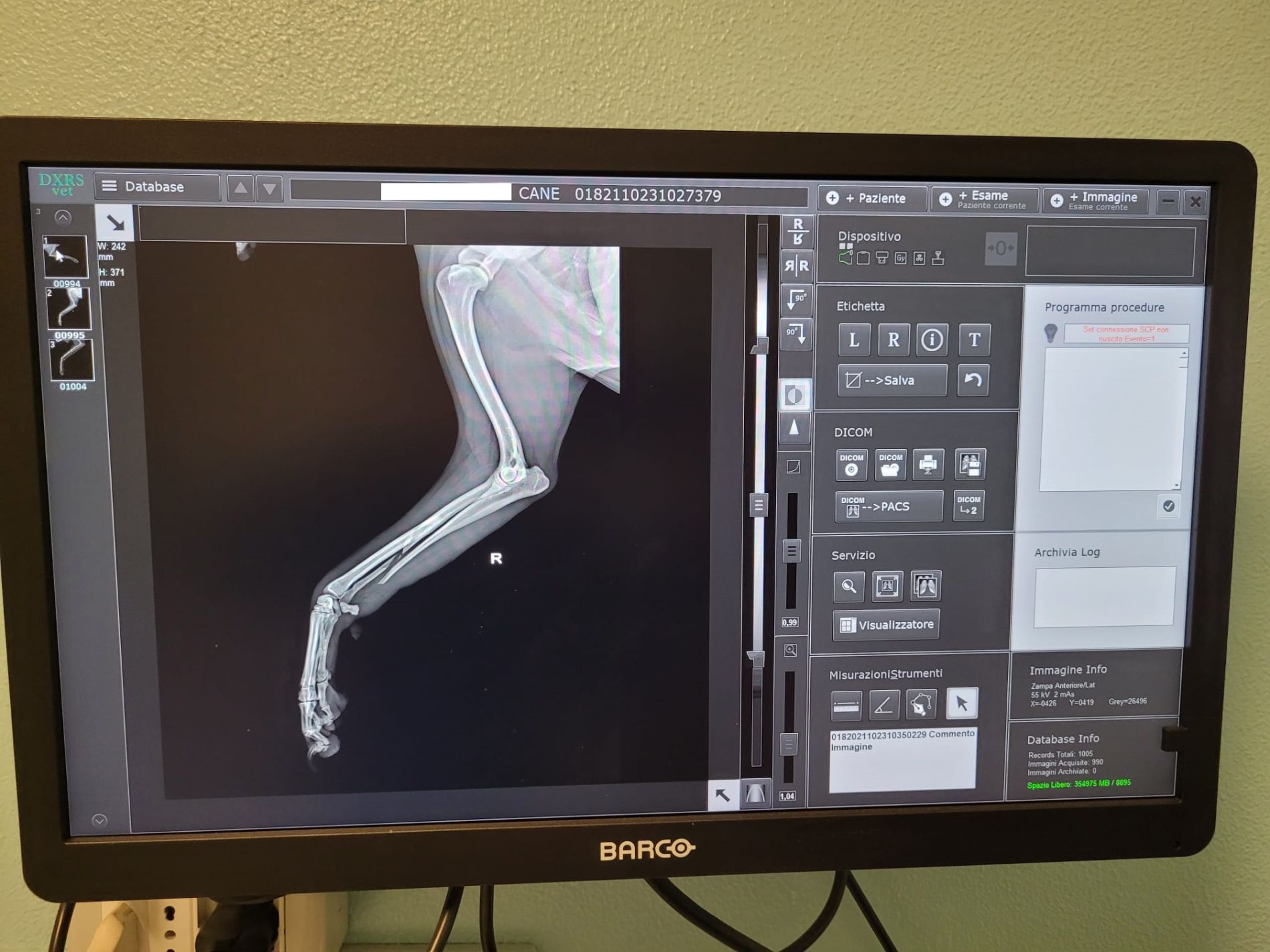 Radiografia di una zampa di animale sullo schermo di un computer, che mostra le ossa. Lo schermo mostra pulsanti e impostazioni.