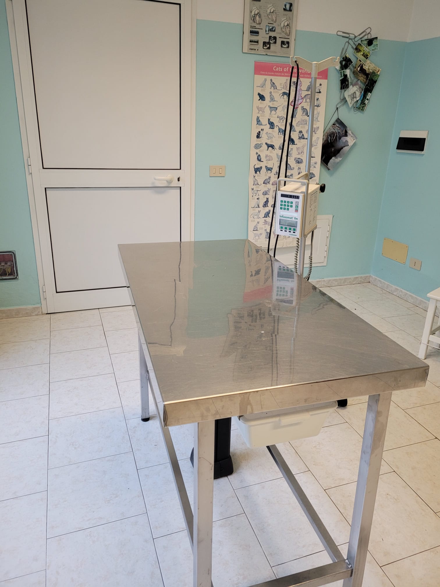 Tavolo da visita in acciaio inossidabile nella stanza di una clinica veterinaria.