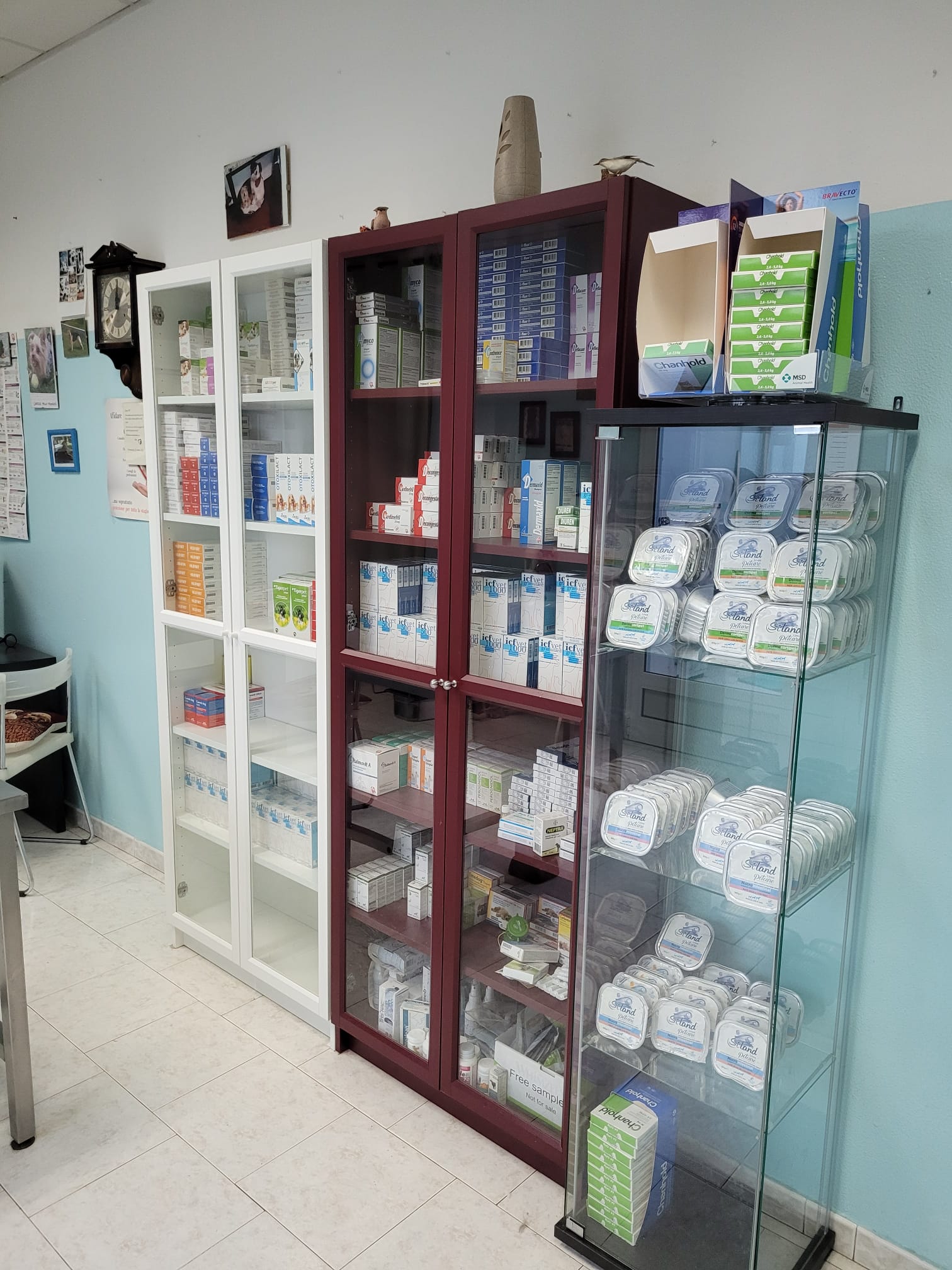 Scaffali con forniture mediche in un ambiente clinico. Armadietti bianchi, bordeaux e in vetro. Parete blu, pavimento bianco.