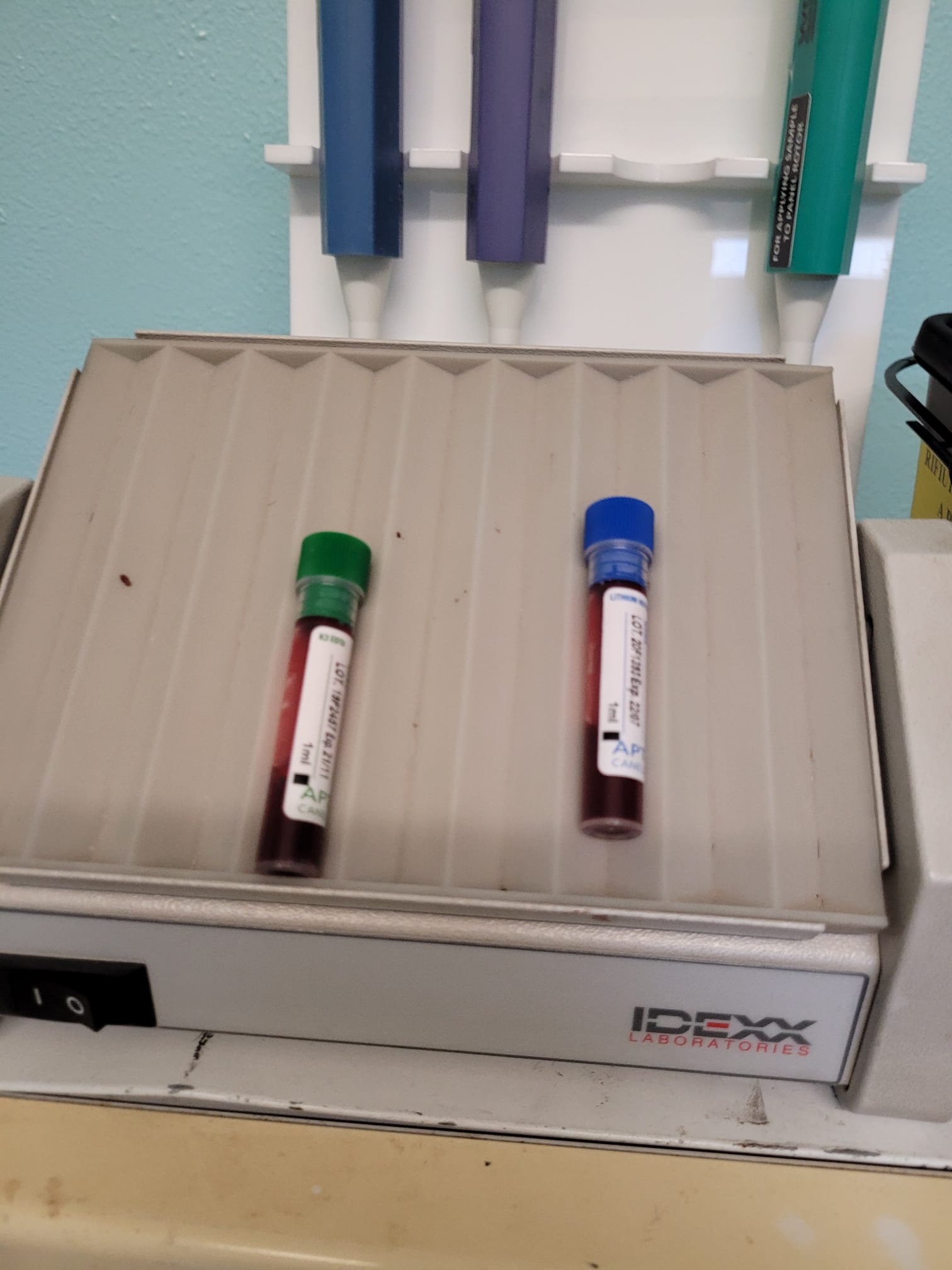 Due provette per campioni di sangue su un agitatore da laboratorio bianco; tappi verde e blu.