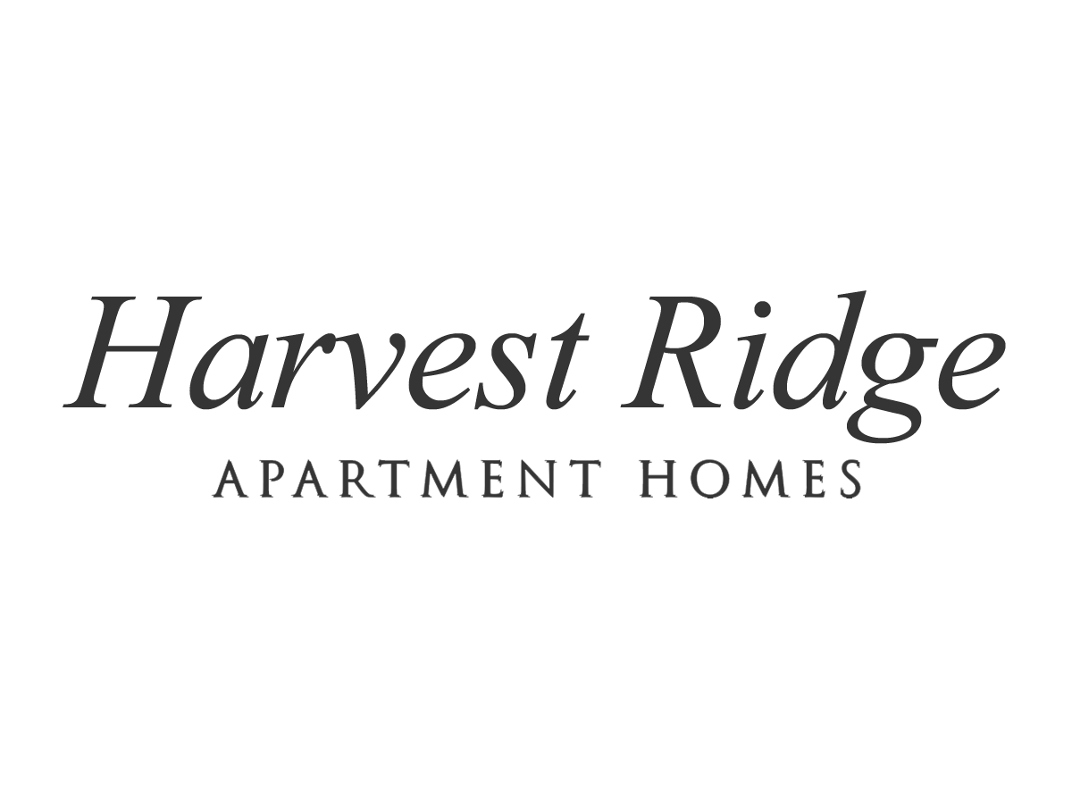 Company Logo - Click to go to Home Page