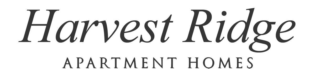 Company Logo - Click to go to Home Page