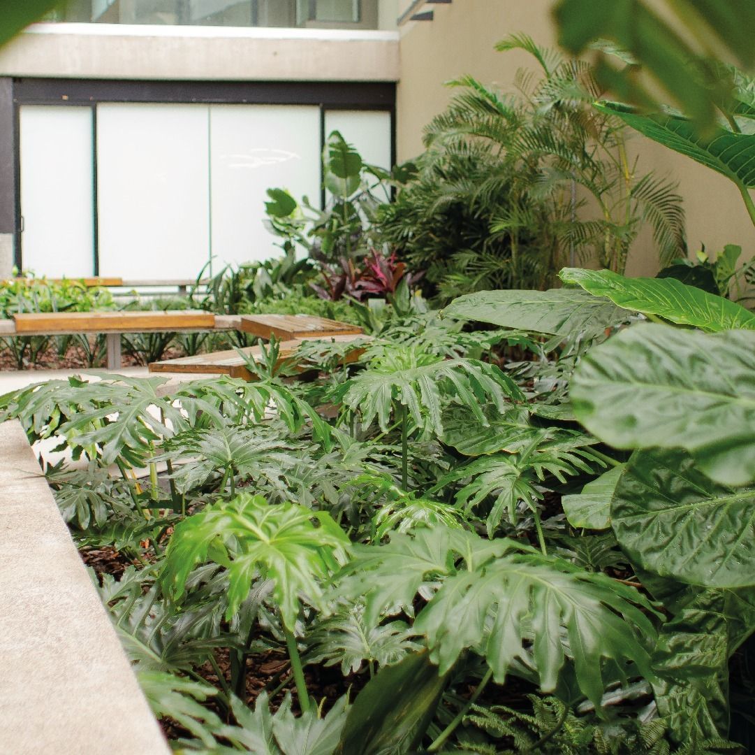 Jardín interior con exuberantes plantas verdes y un banco cerca de una ventana.