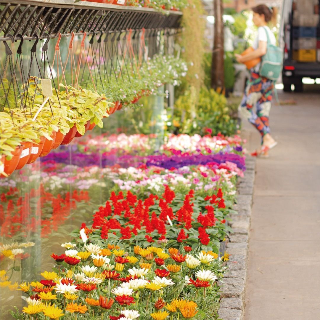 Flores en exhibición en un mercado, con una persona comprando en el fondo.