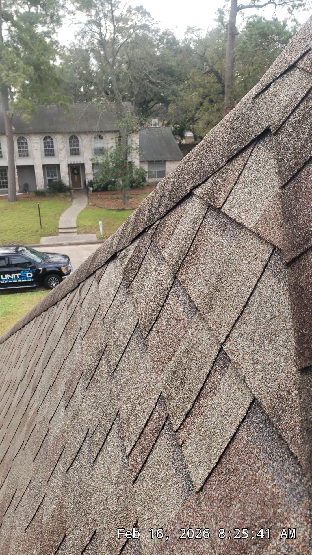 Close-up of a shingled roof with trees and apartment buildings in the background.