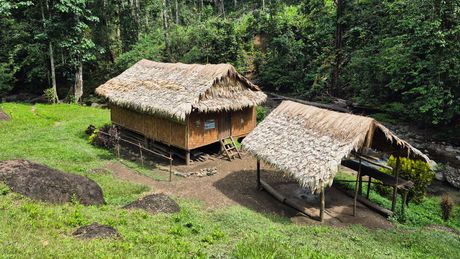 Thatched huts along the Kokoda trail in Papua New Guinea