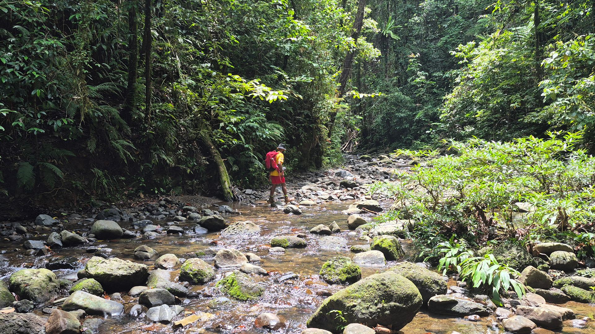 Person waking through Kokoda trail in Papua New Guinea along a river bed