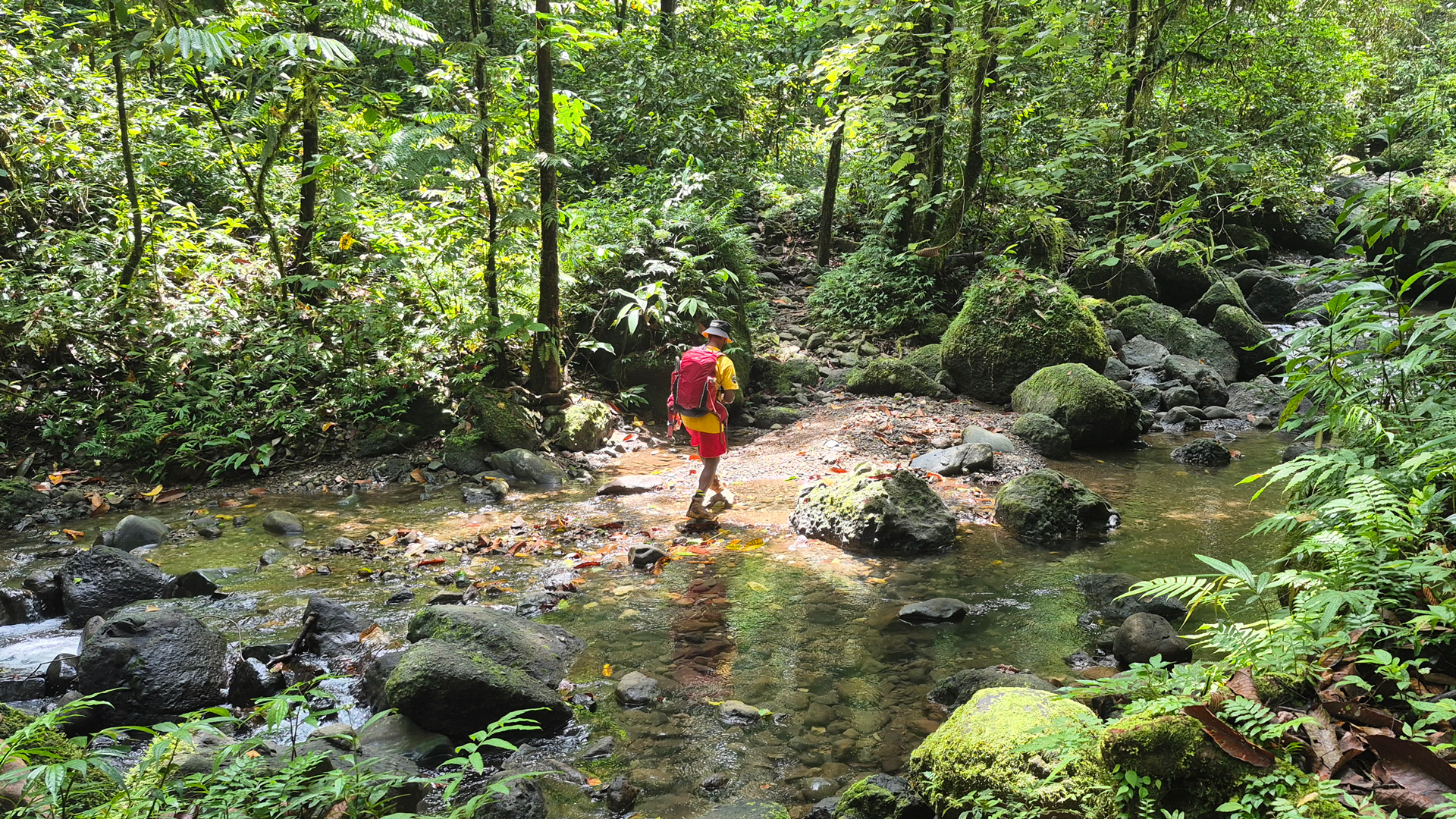 Person waking through Kokoda trail in Papua New Guinea beside a river