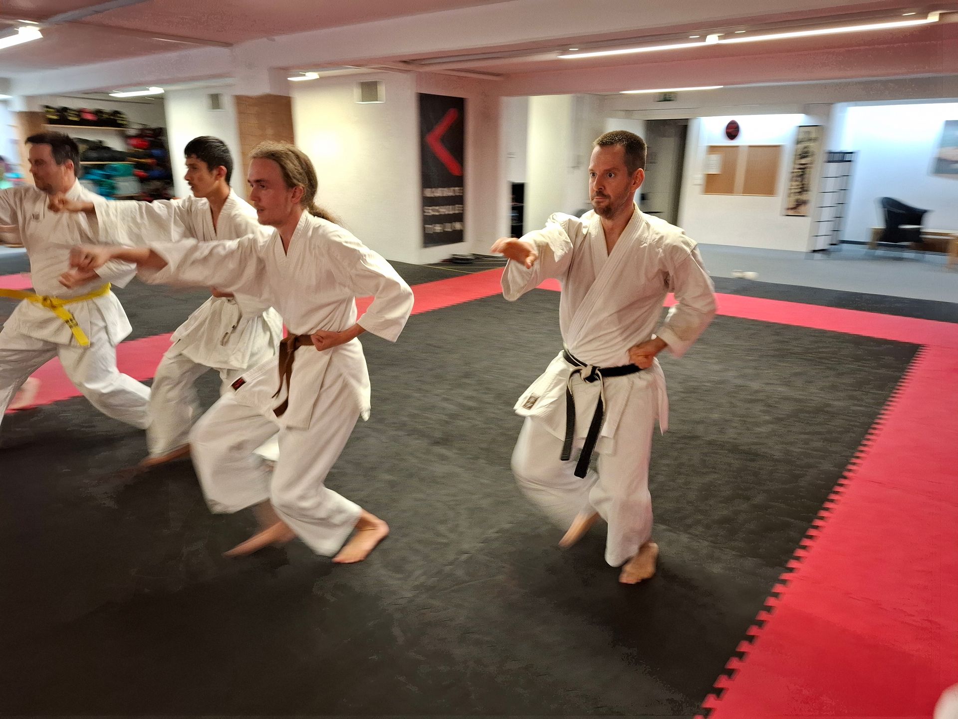 Dynamisches Bild eines Oizukis, ausgeführt von Erwachsenen im Kampfsport-Training der Karateschule Thun und Spiez.