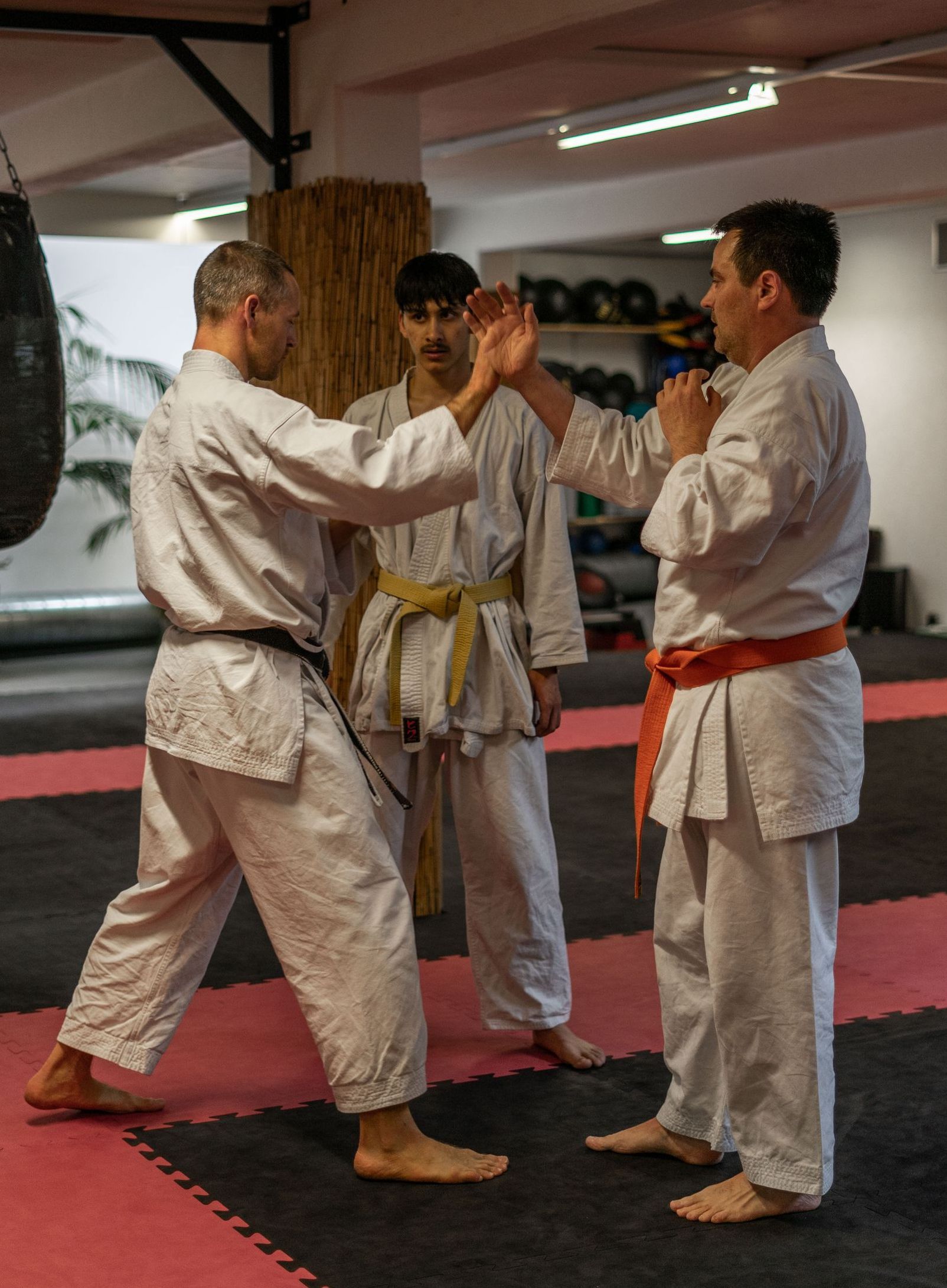 Karatelehrer instruiert seine Schüler in der Kampfkunst.