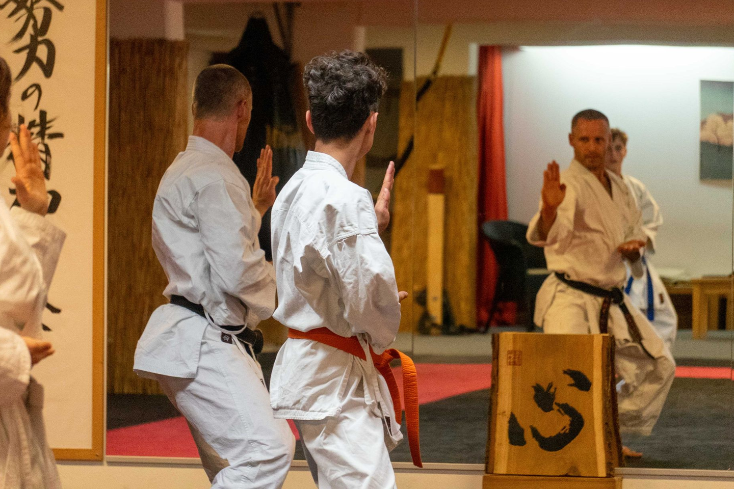Karateka von hinten beim Techniktraining.