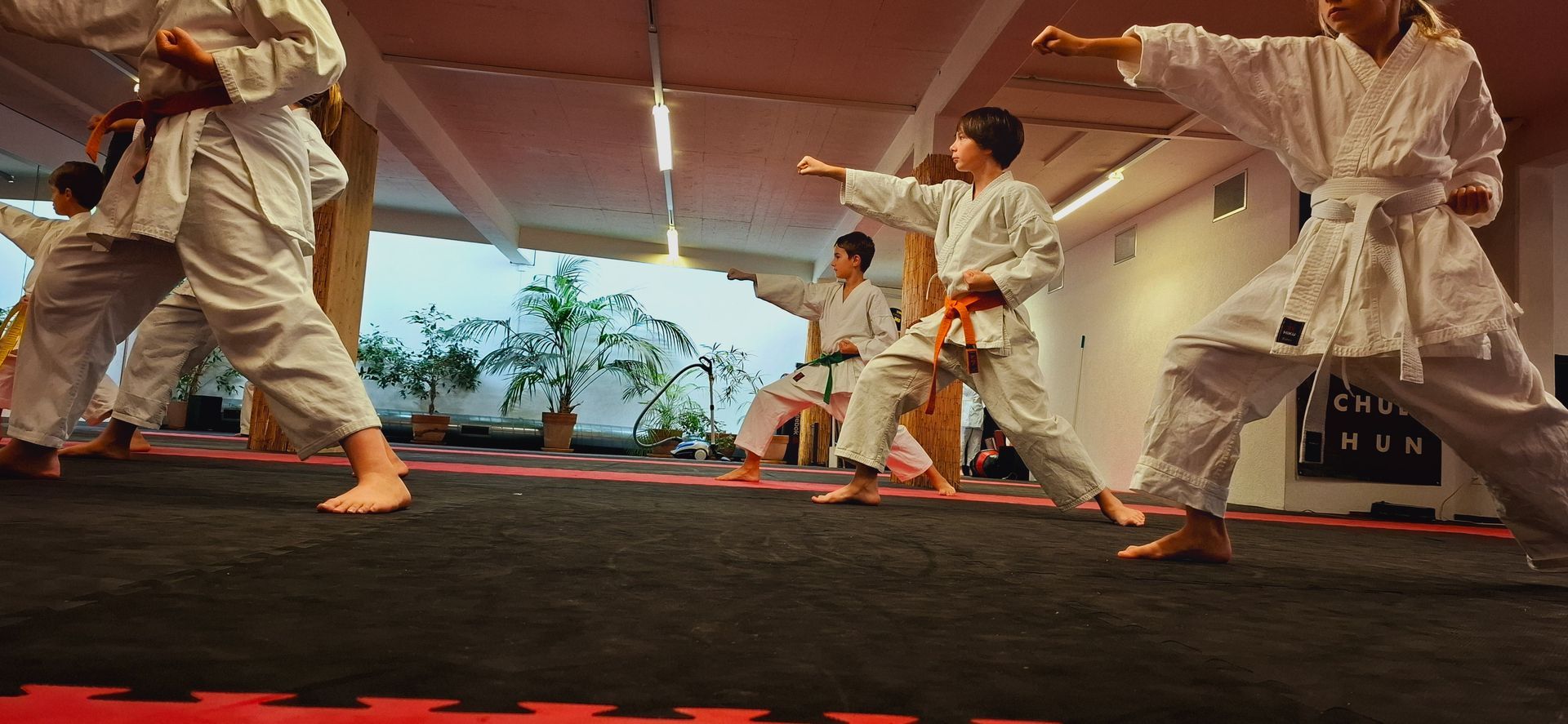 Kinder im Karatetraining Thun führen einen Oizuki aus, einen geraden Faustschlag im Kinder-Kampfsport.