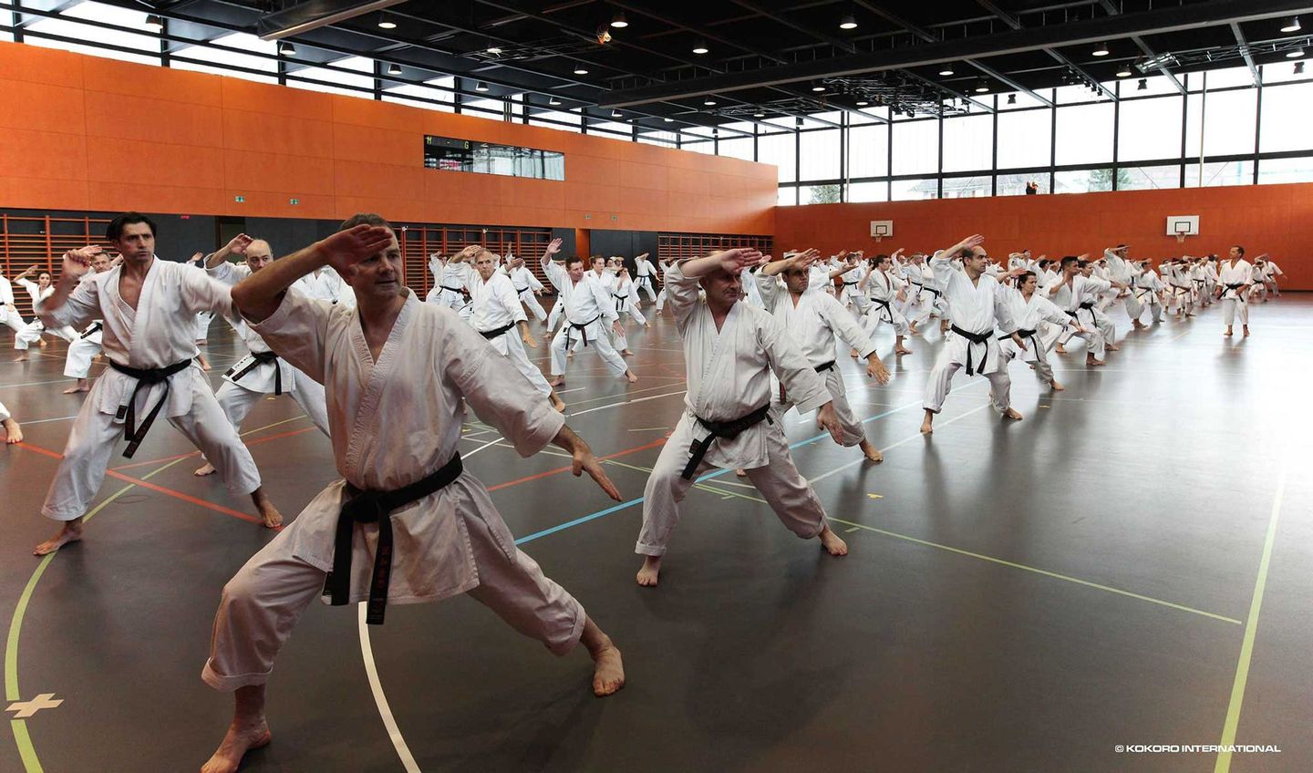 Erwachsene Karateka führen synchron Techniken aus. Diese Disziplin und Stärke sind typisch für Kampfsportarten wie Karate, Kickboxen und BJJ.