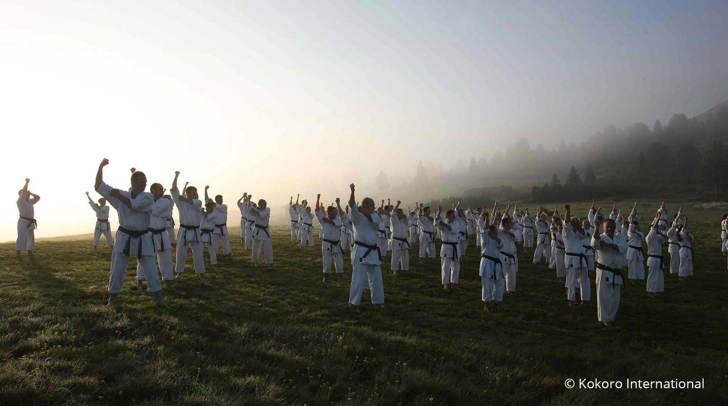 Gruppe erwachsene Karateka führt mit Präzision und Körperkontrolle eine Technik aus. Fähigkeiten die auch in Kampfsportarten wie Kickboxen und MMA essentiell sind.