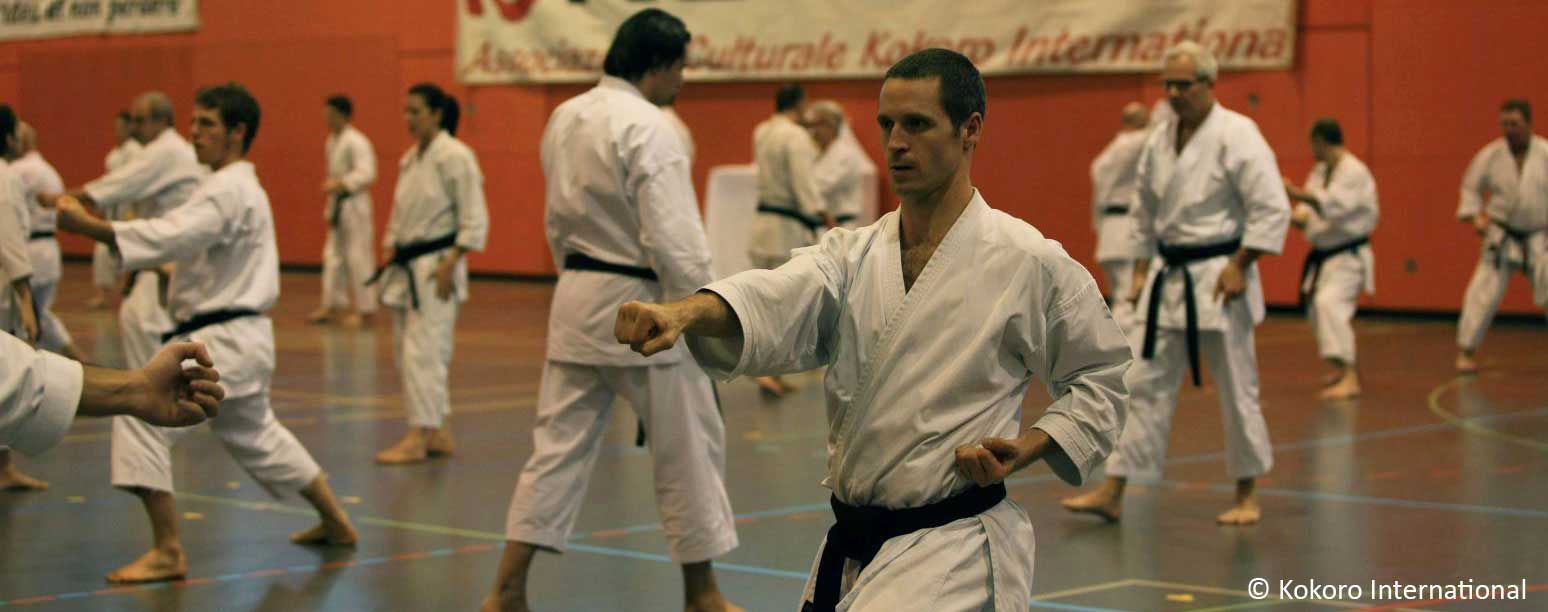 Karatelehrer der Karateschule Thun, zeigt eine präzise Schlagtechnik. Dies erfordert Kontrolle und mentalen Fokus, was auch in Kampfsportarten wie Brazilian Jiu-Jitsu und Thaiboxen nützlich ist.