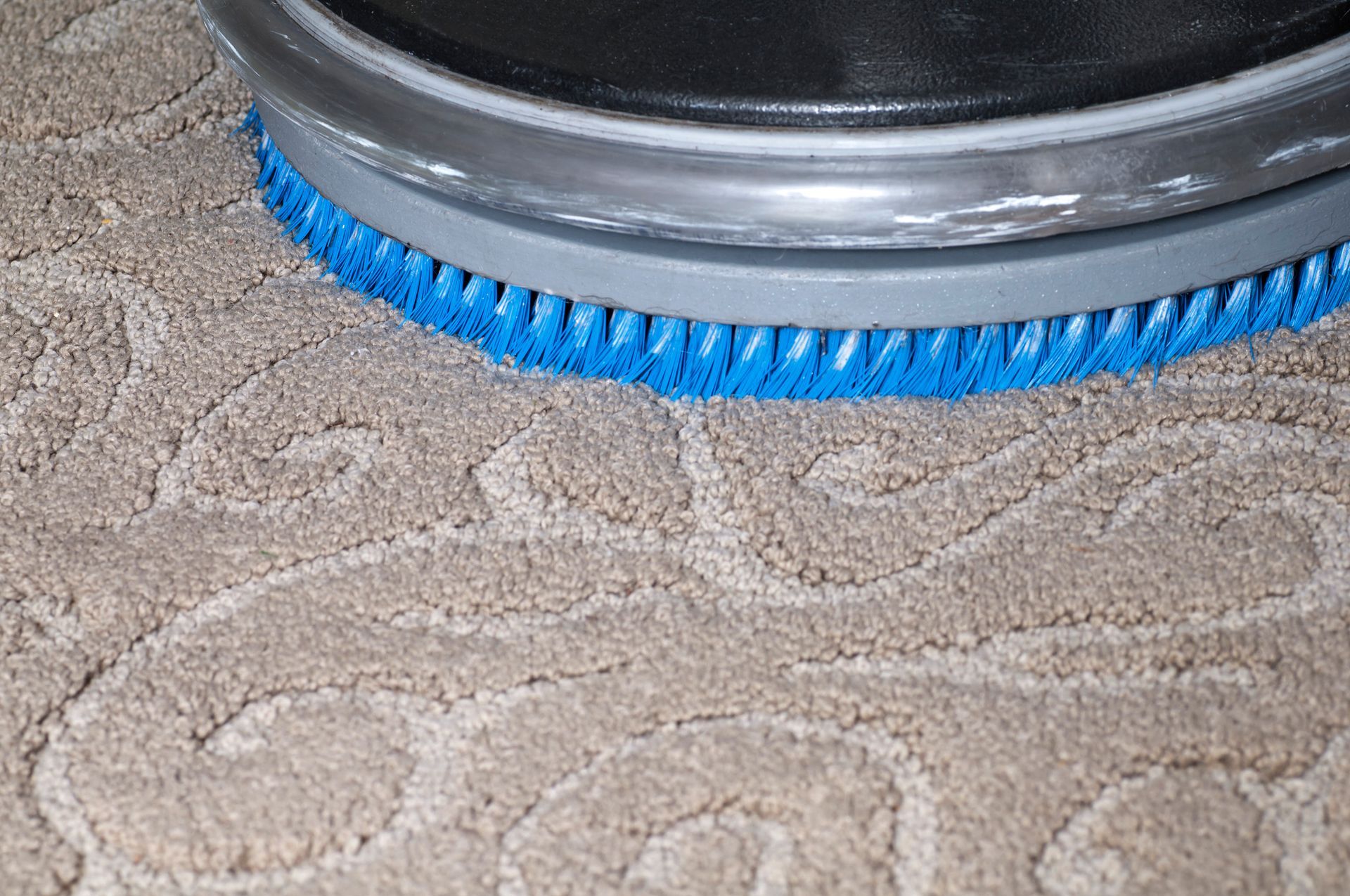 A blue brush is being used to clean a carpet.