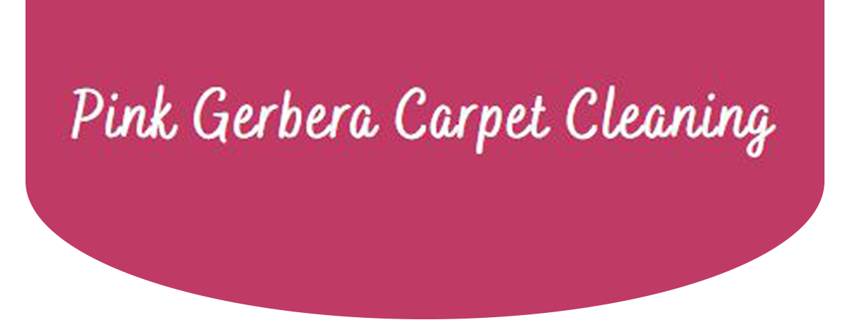 Pink Gerbera Carpet Cleaning