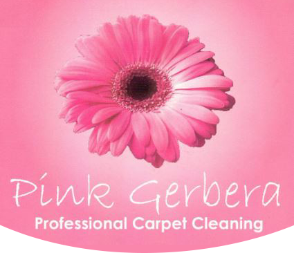 Pink Gerbera Carpet Cleaning