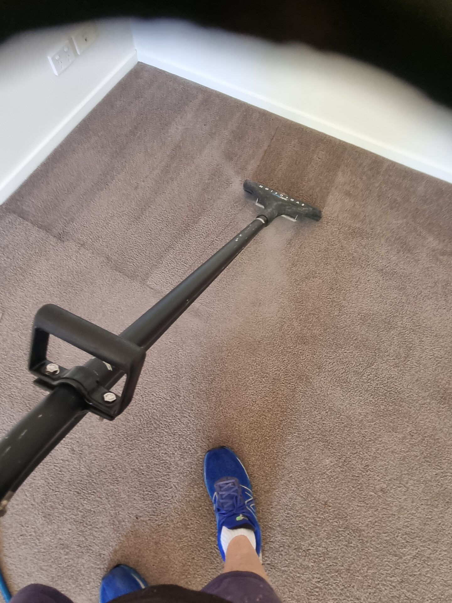 A person is cleaning a brown carpet with a vacuum cleaner.