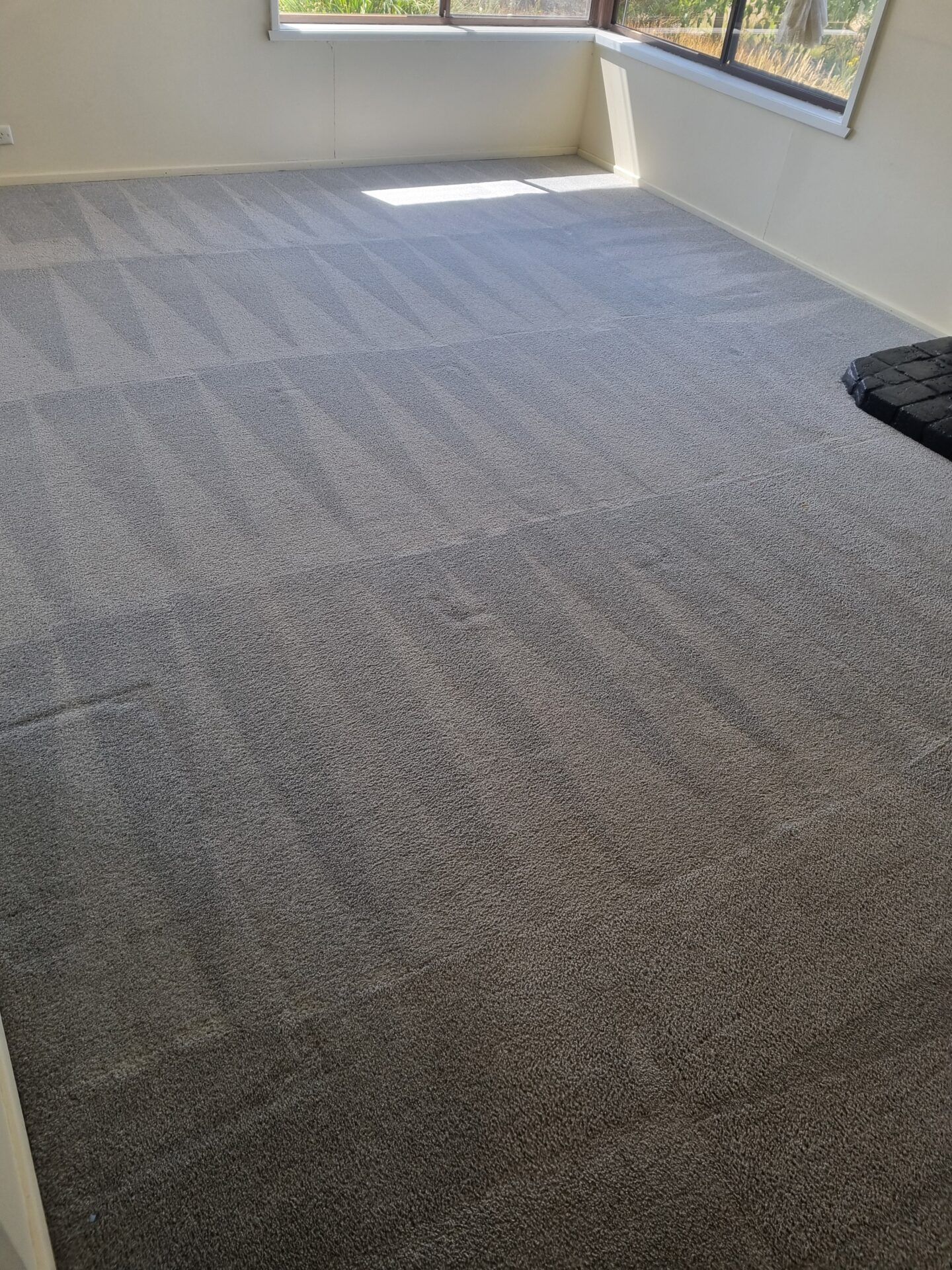 A living room with a gray carpet and a window.