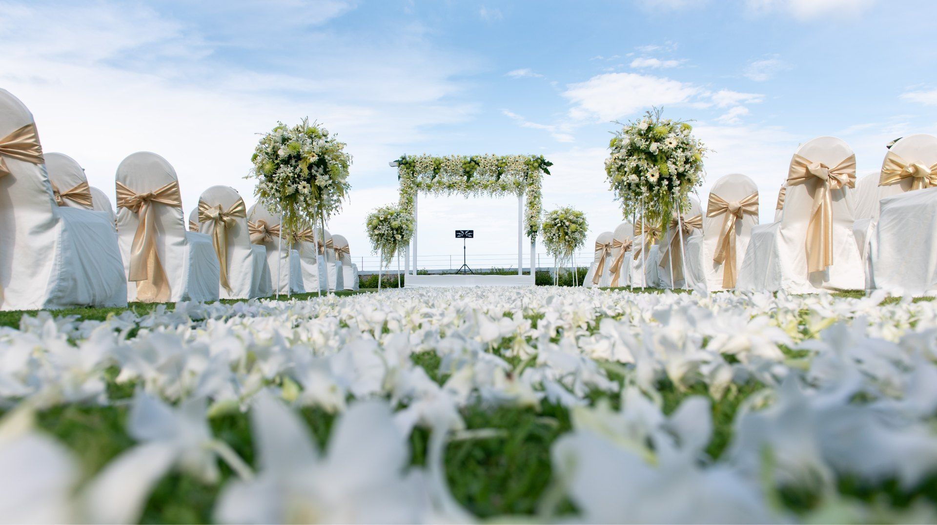 A wedding ceremony is taking place in a field of white flowers.