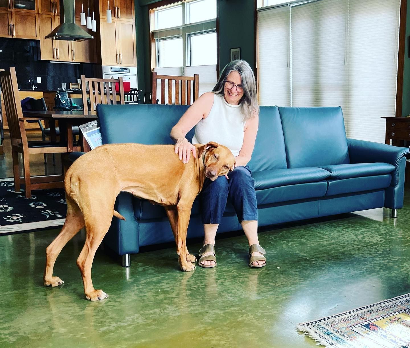 A beautiful new blue couch purchased from Eagles' Rest Natural Mattresses and Furniture inLawrence, Kansas.