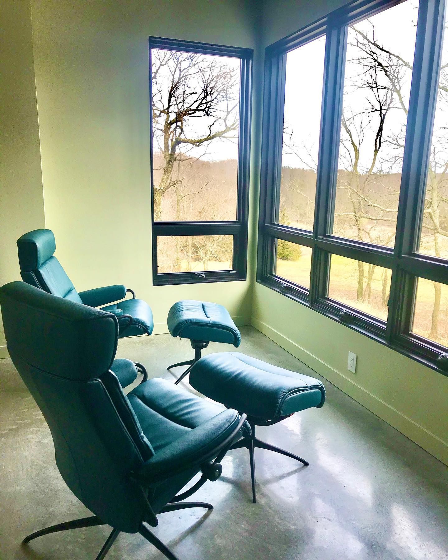 Ekornes leather recliners purchased from Eagles' Rest Natural Mattresses and Furniture inLawrence, Kansas.