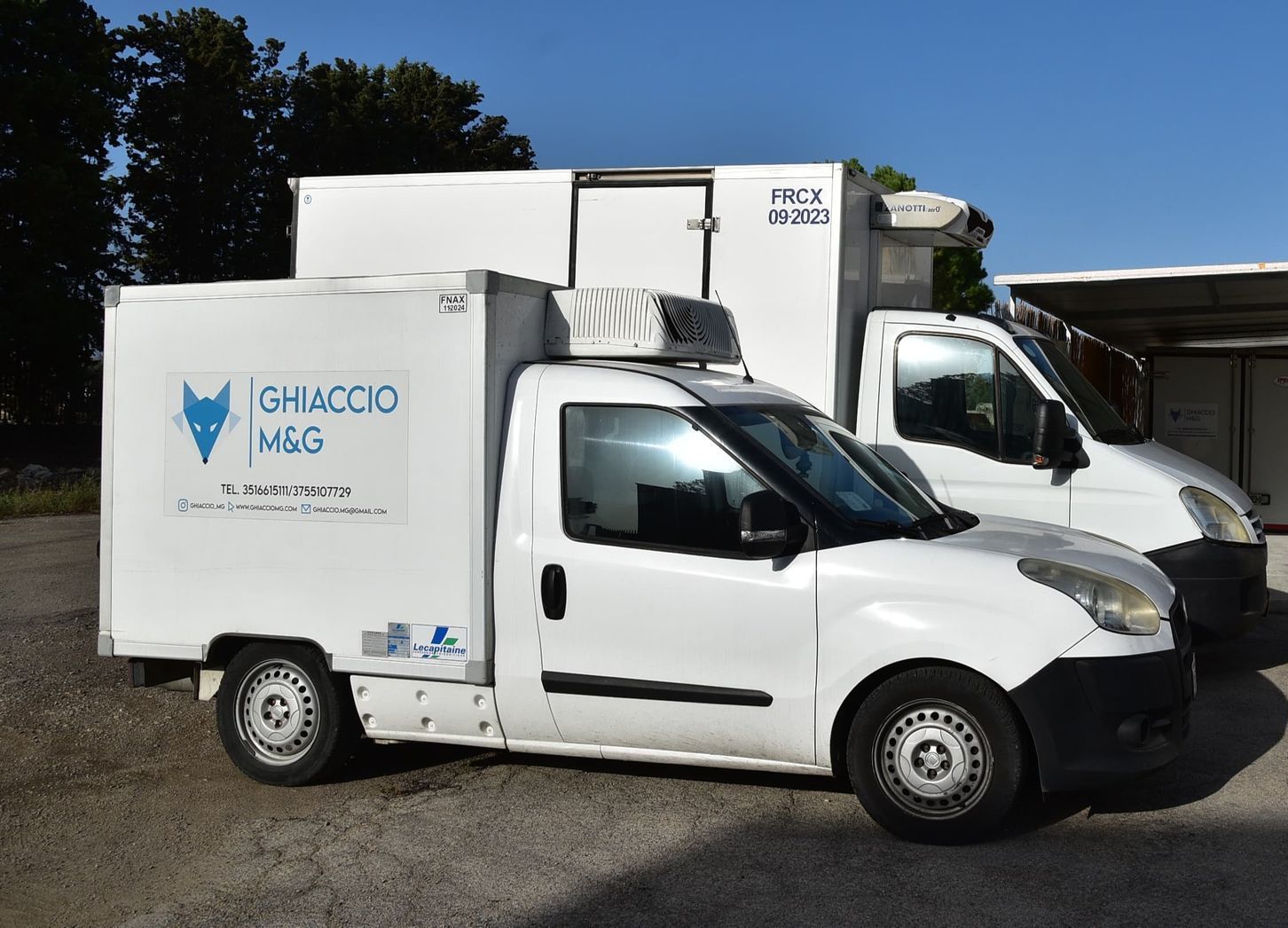 consegna ghiaccio a domicilio