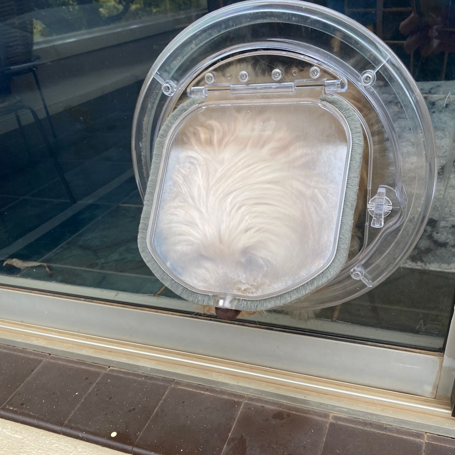 Sliding glass doors with a view of a pool and backyard, blue sky visible.