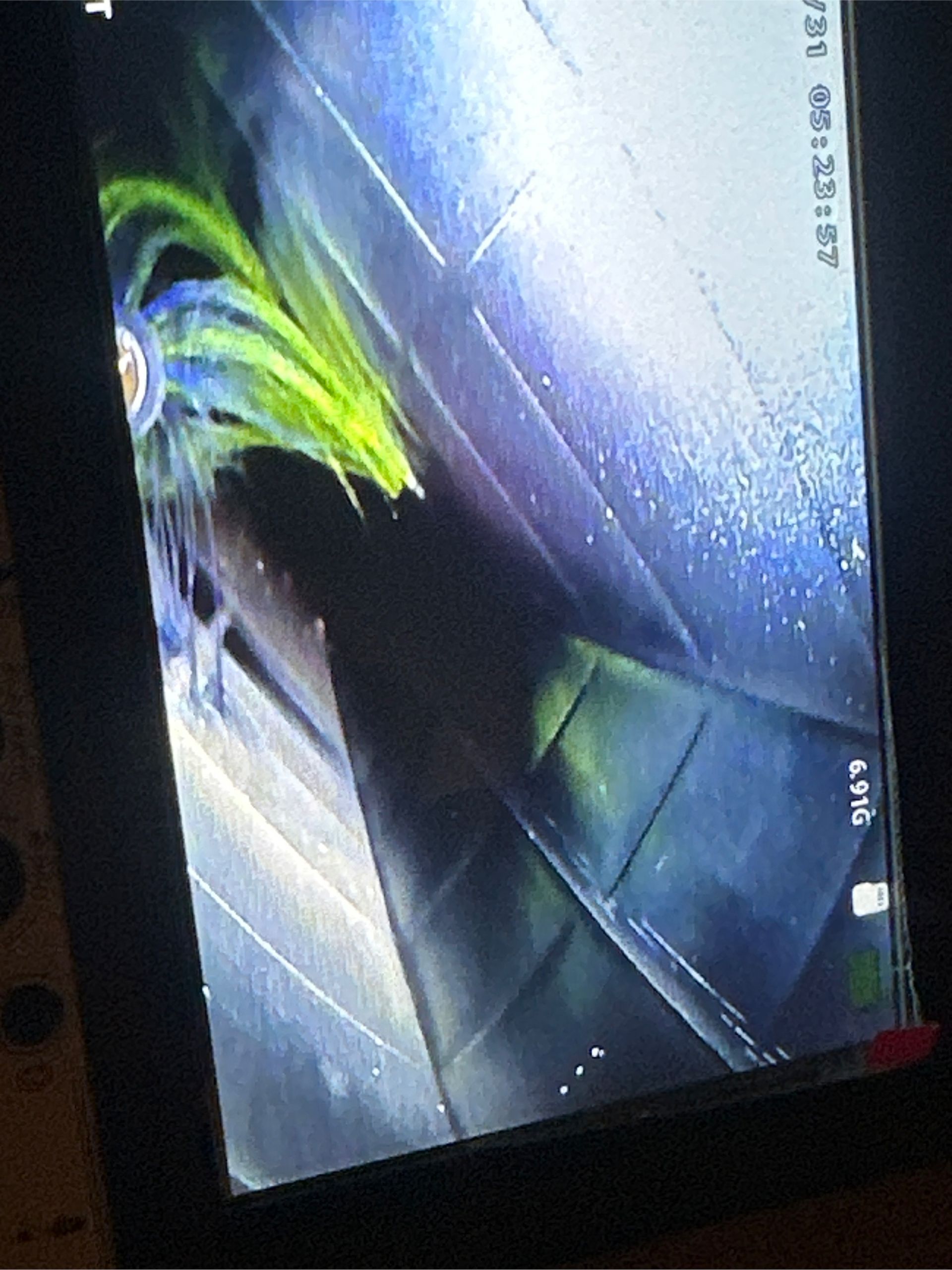 A cell phone screen shows a picture of a plant