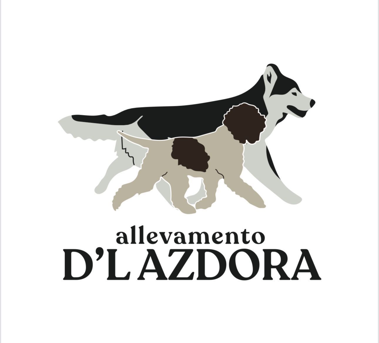 Allevamento Siberian Husky e Lagotto Romagnolo
