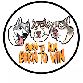 Articoli/servizi animali domestici
