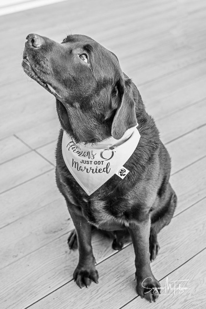 Suzanne Mcfadzean Photography 22