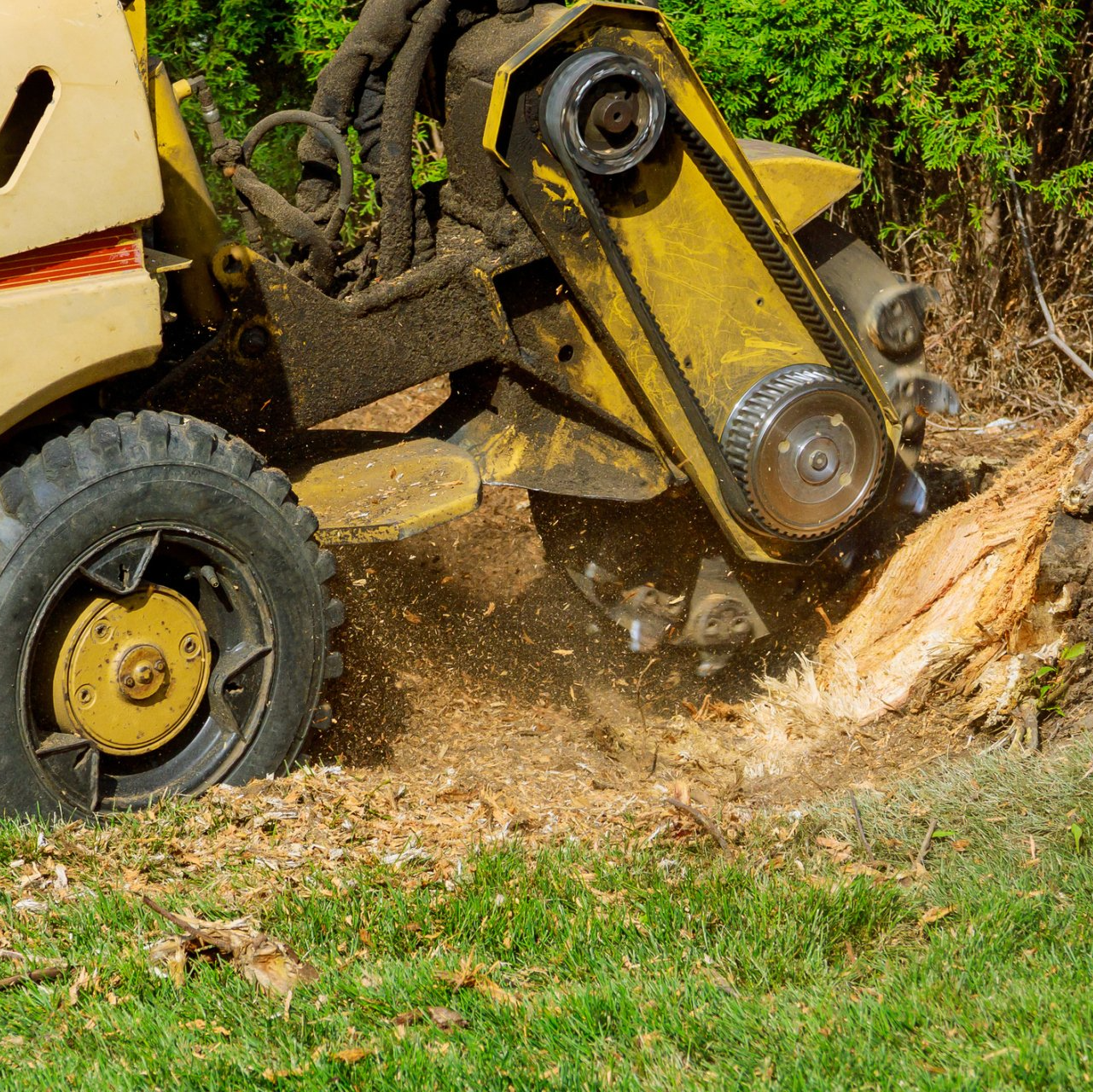 Stump grinding | West Point, KY | L & S Tree Service