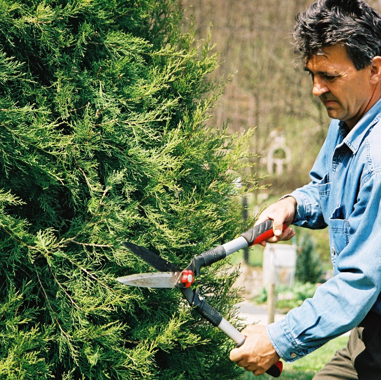 Gardener | West Point, KY | L & S Tree Service
