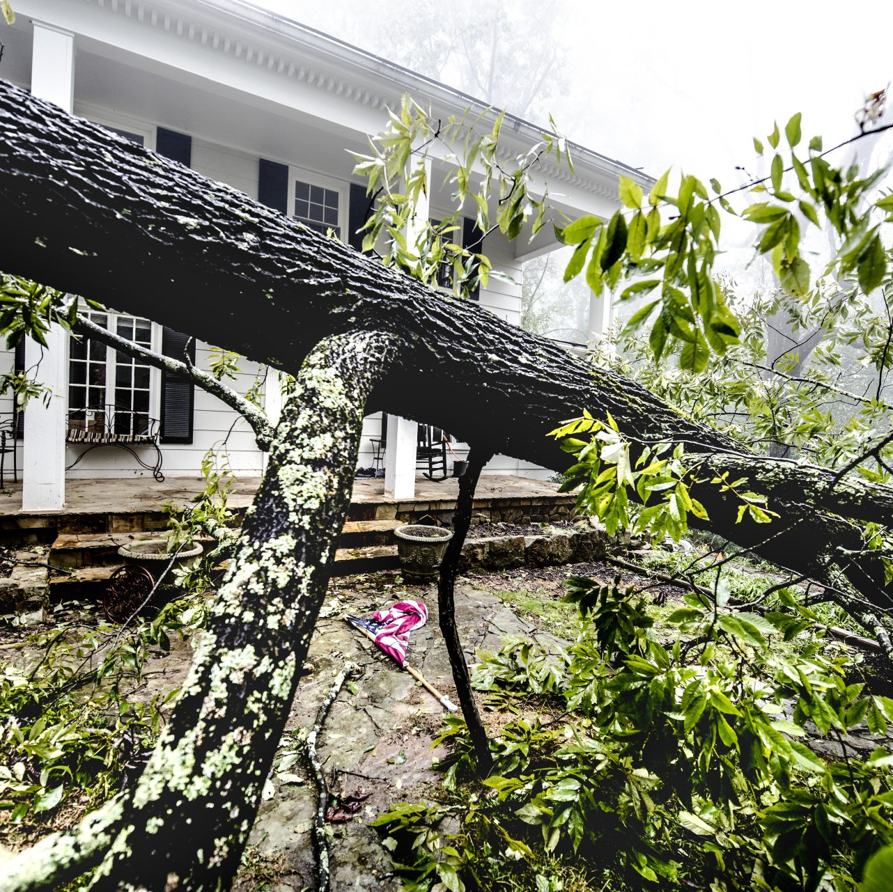 Storm damage removal | West Point, KY | L & S Tree Service