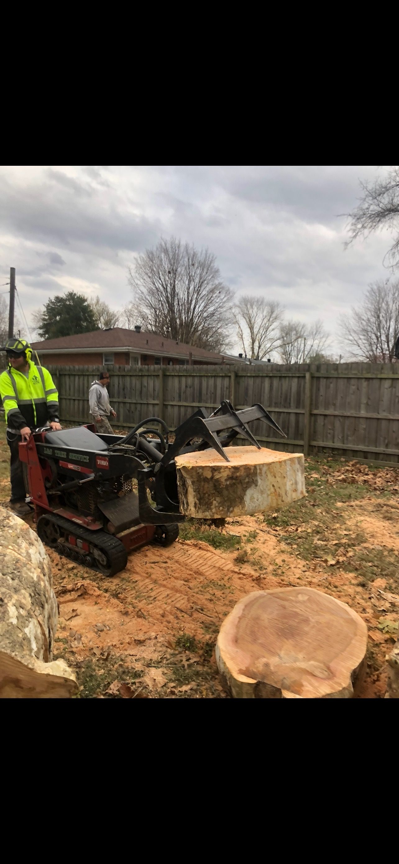 Removing  | West Point, KY | L & S Tree Service