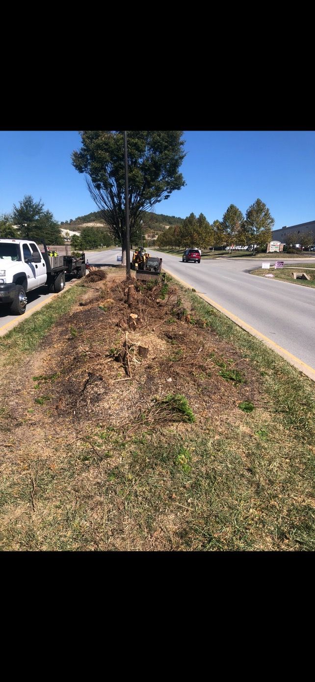 Grass Seeding | West Point, KY | L & S Tree Service