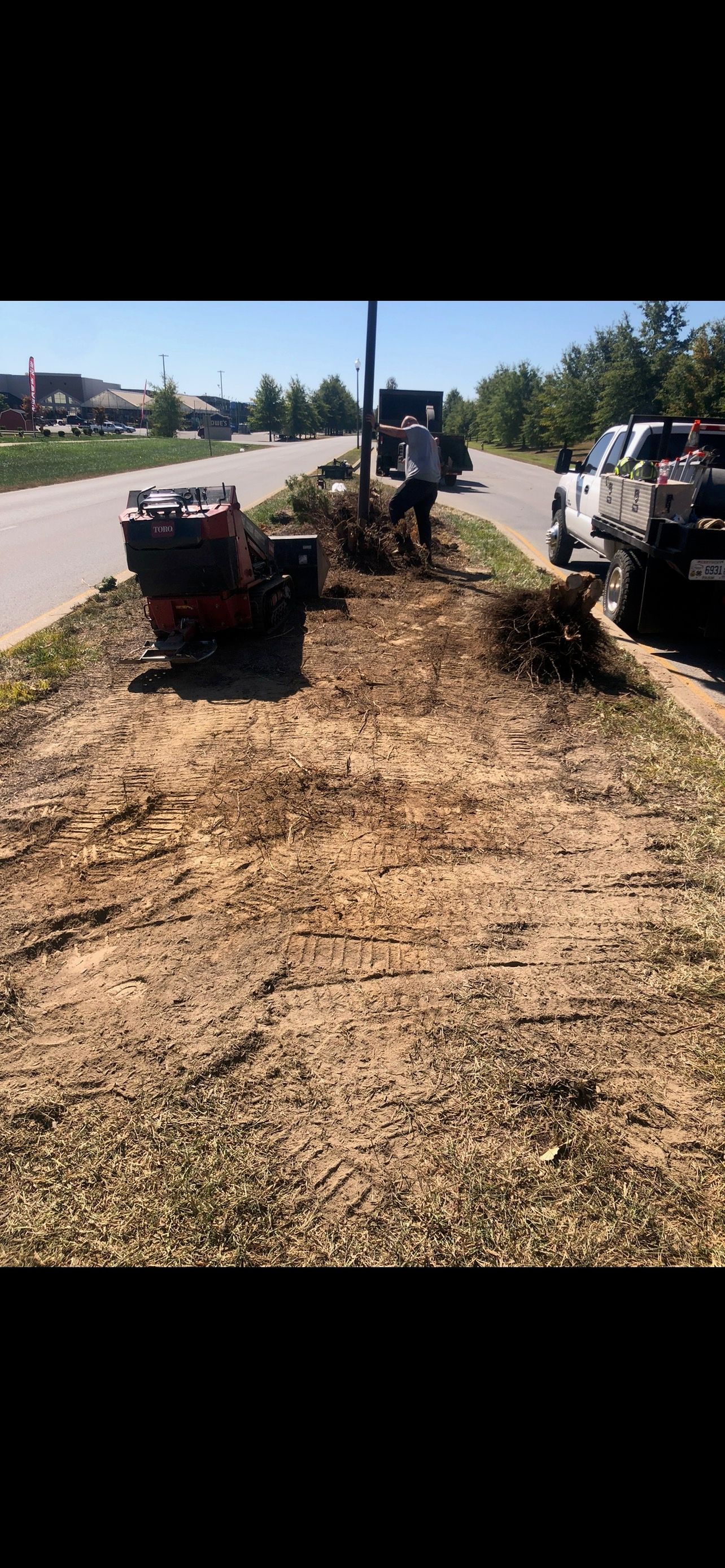 Lawn Care | West Point, KY | L & S Tree Service