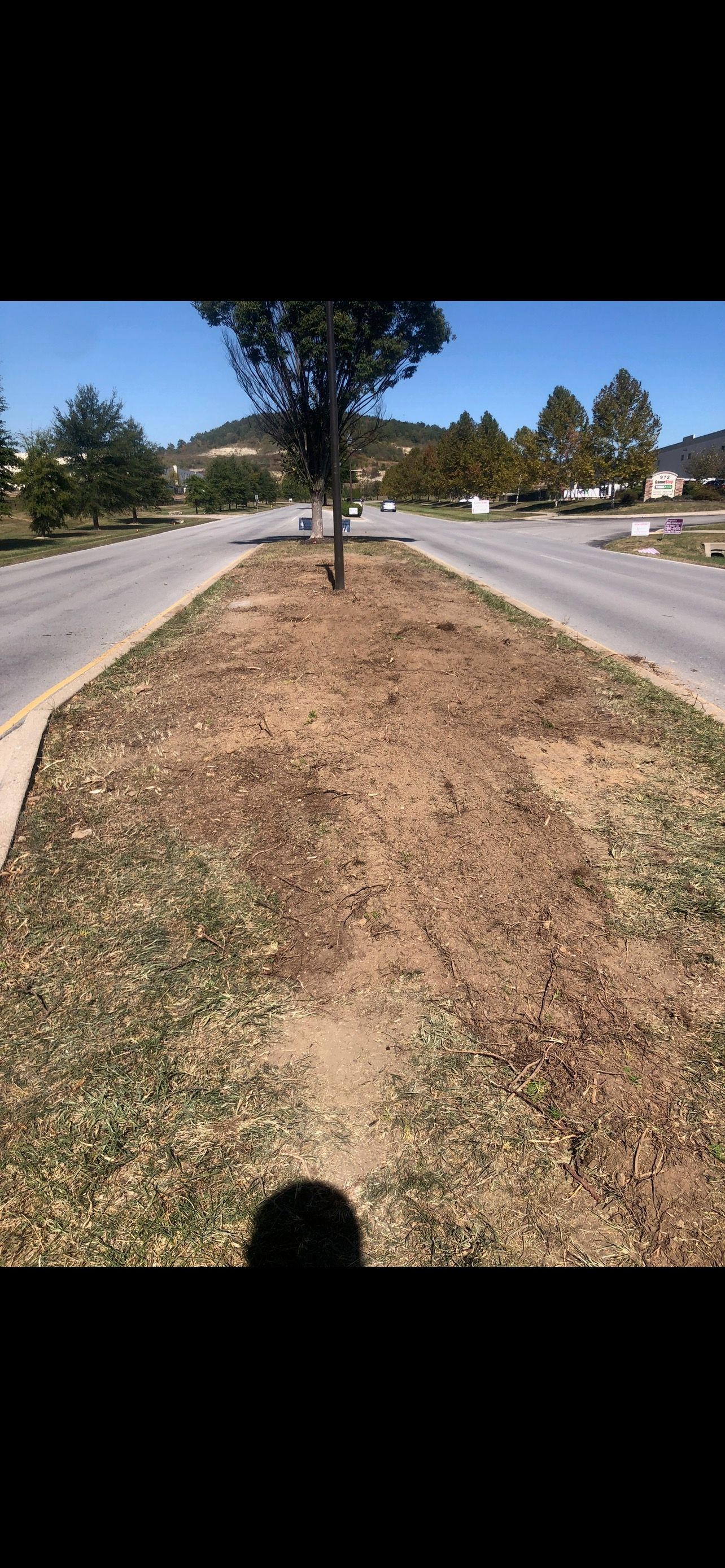 Lawn | West Point, KY | L & S Tree Service