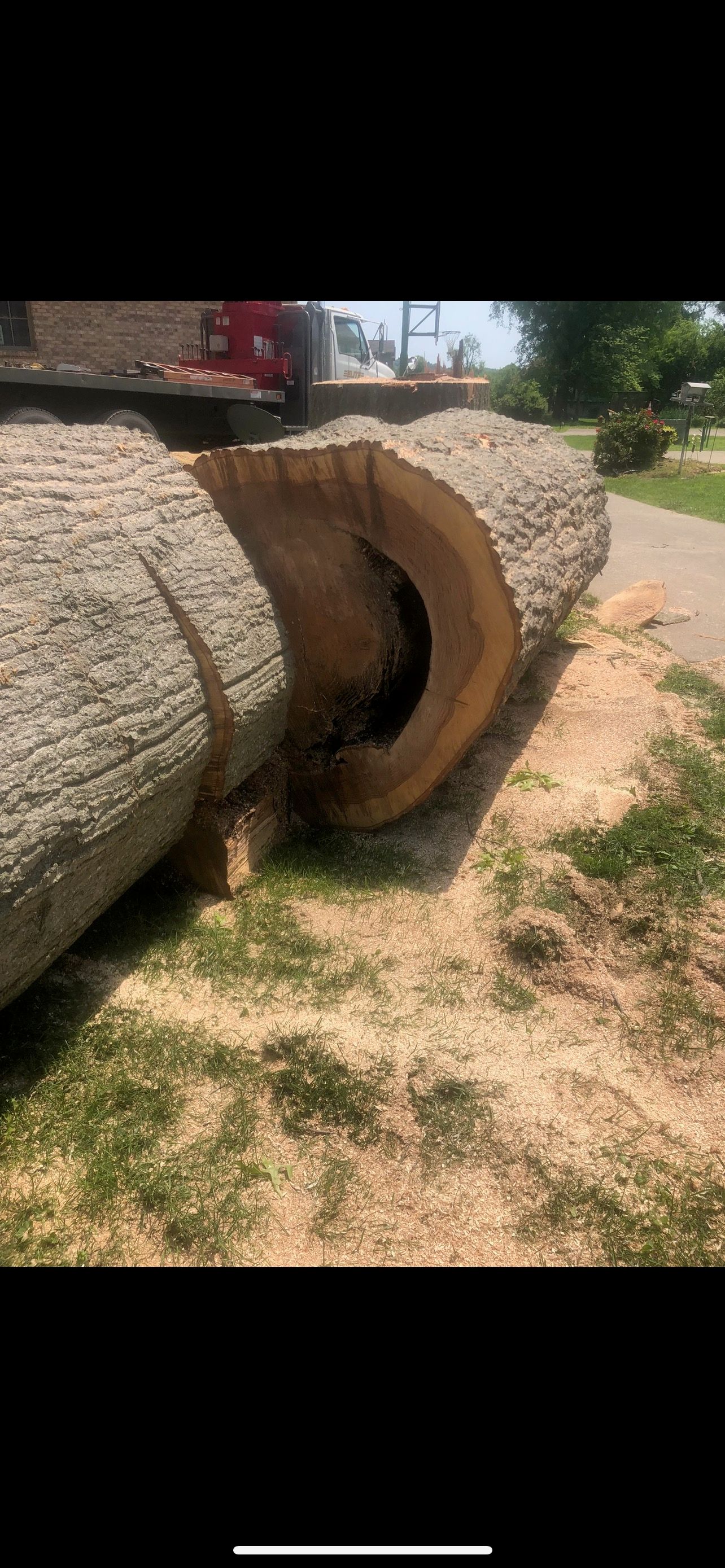 Tree Removing | West Point, KY | L & S Tree Service