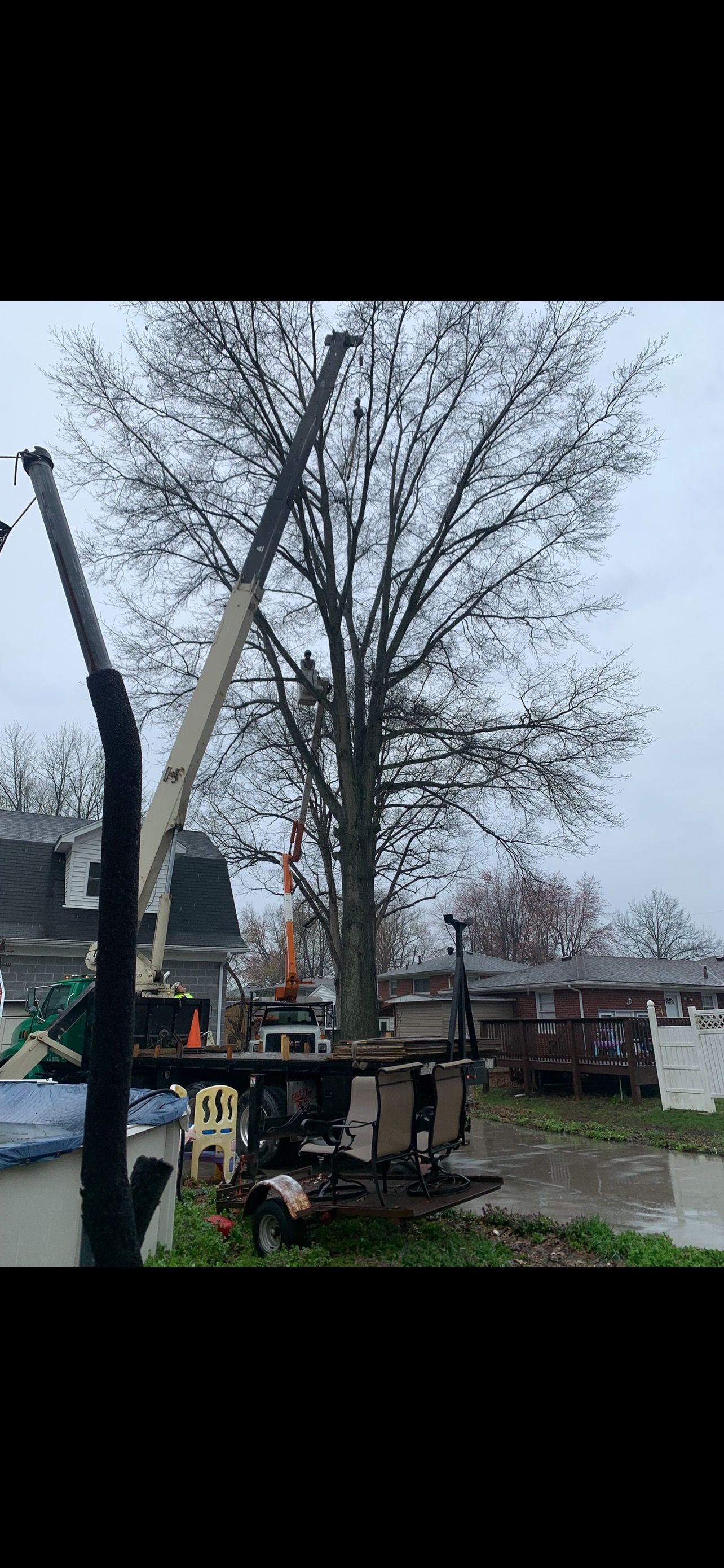 Tree Trimming | West Point, KY | L & S Tree Service