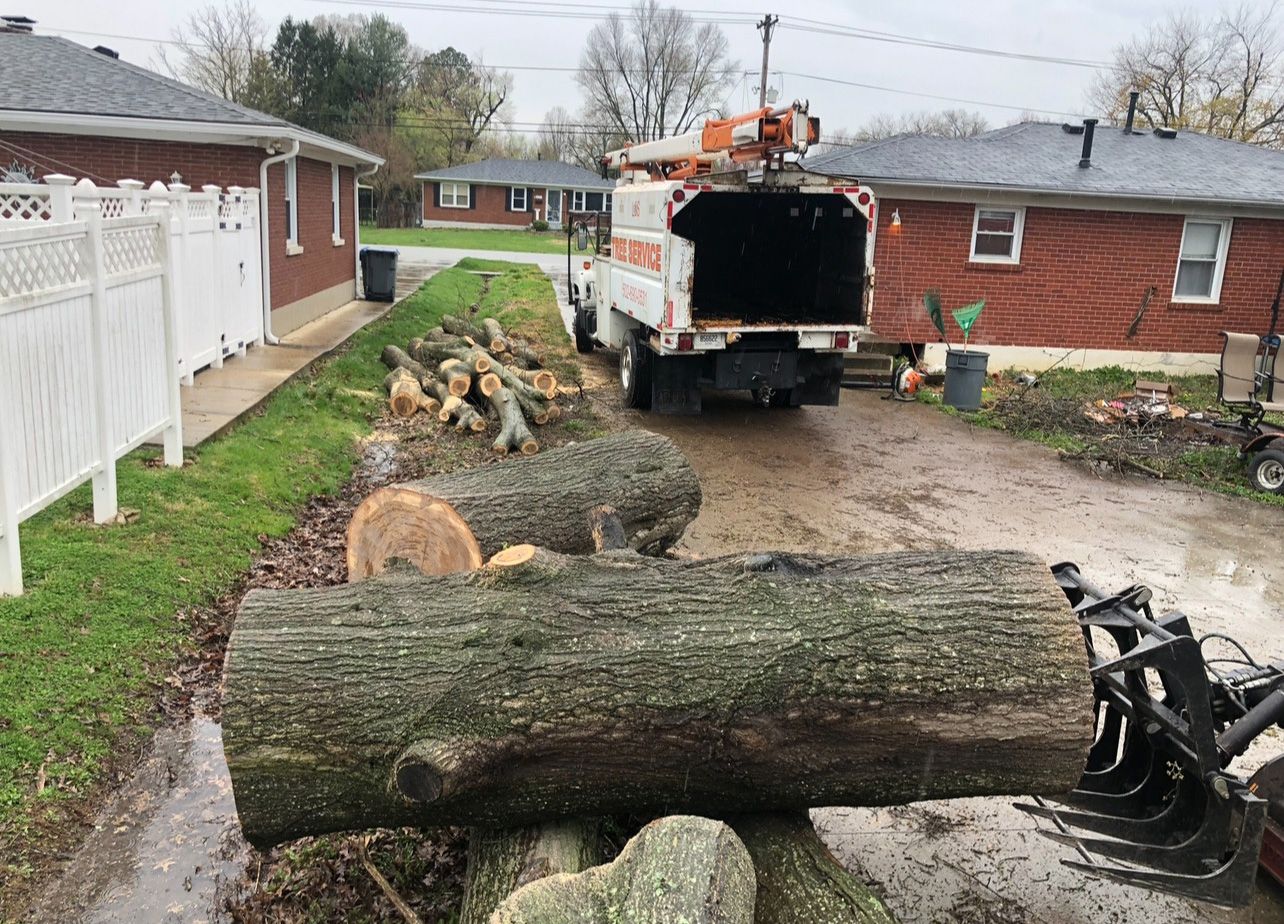 Pile Of Tree Branches | West Point, KY | L & S Tree Service