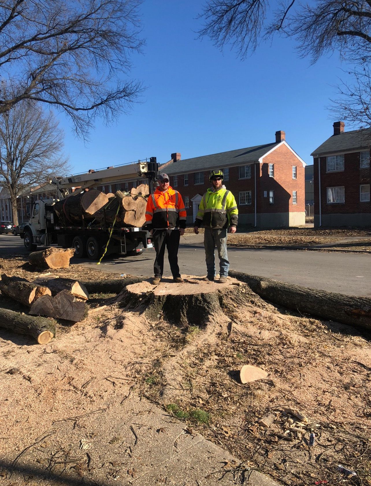 Two Men Standanding On A Tree Trunk | West Point, KY | L & S Tree Service