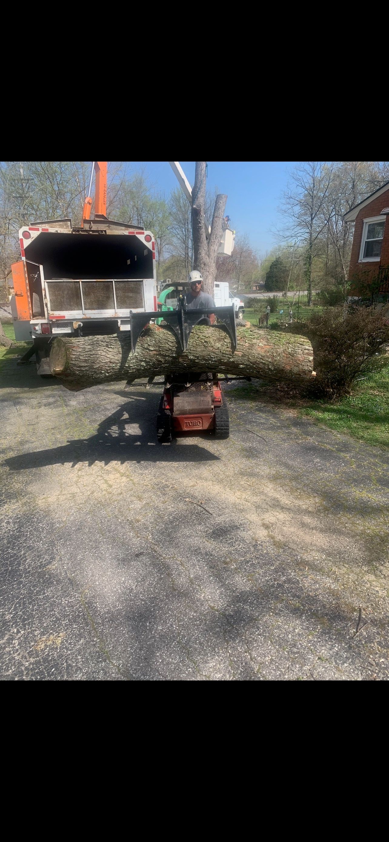 Tree  | West Point, KY | L & S Tree Service