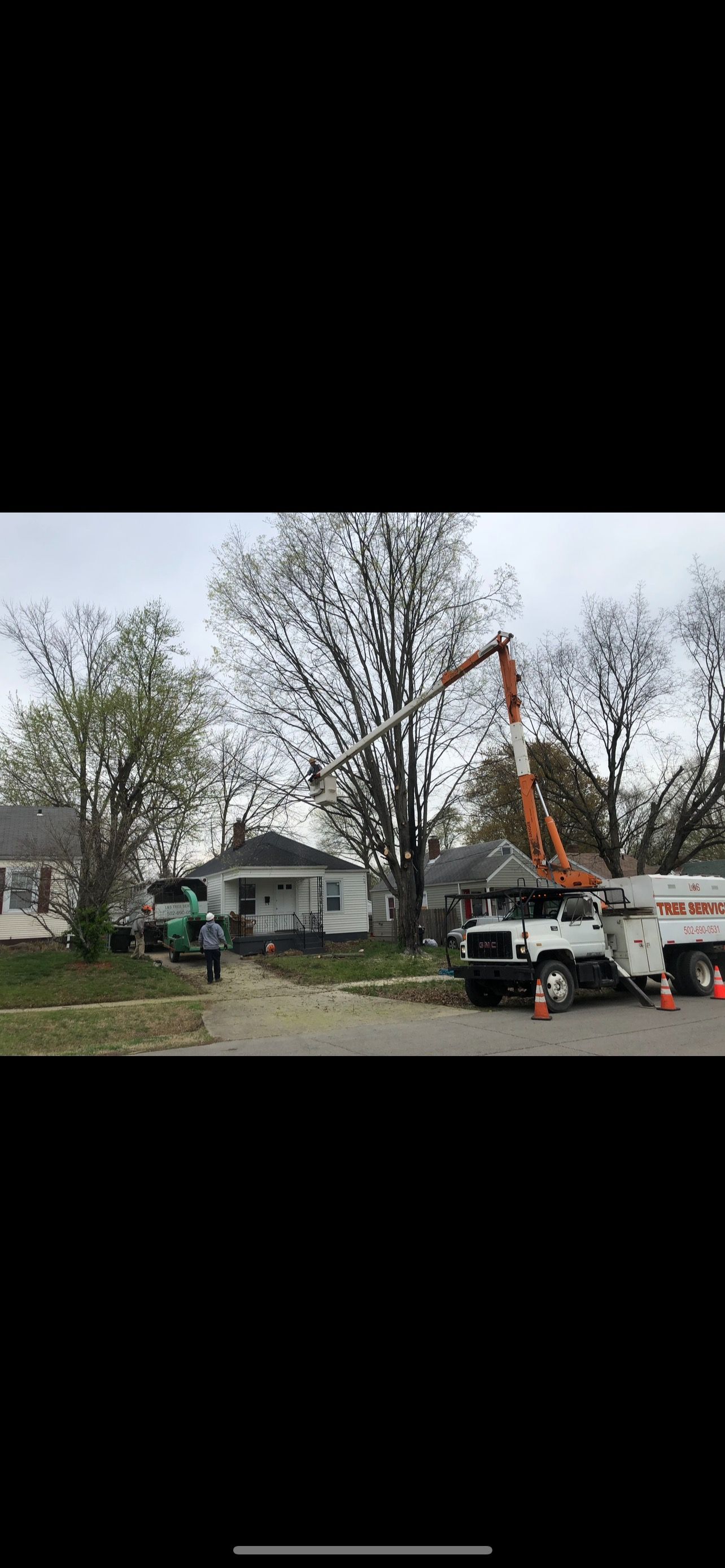 Tree Removing Trimming| West Point, KY | L & S Tree Service