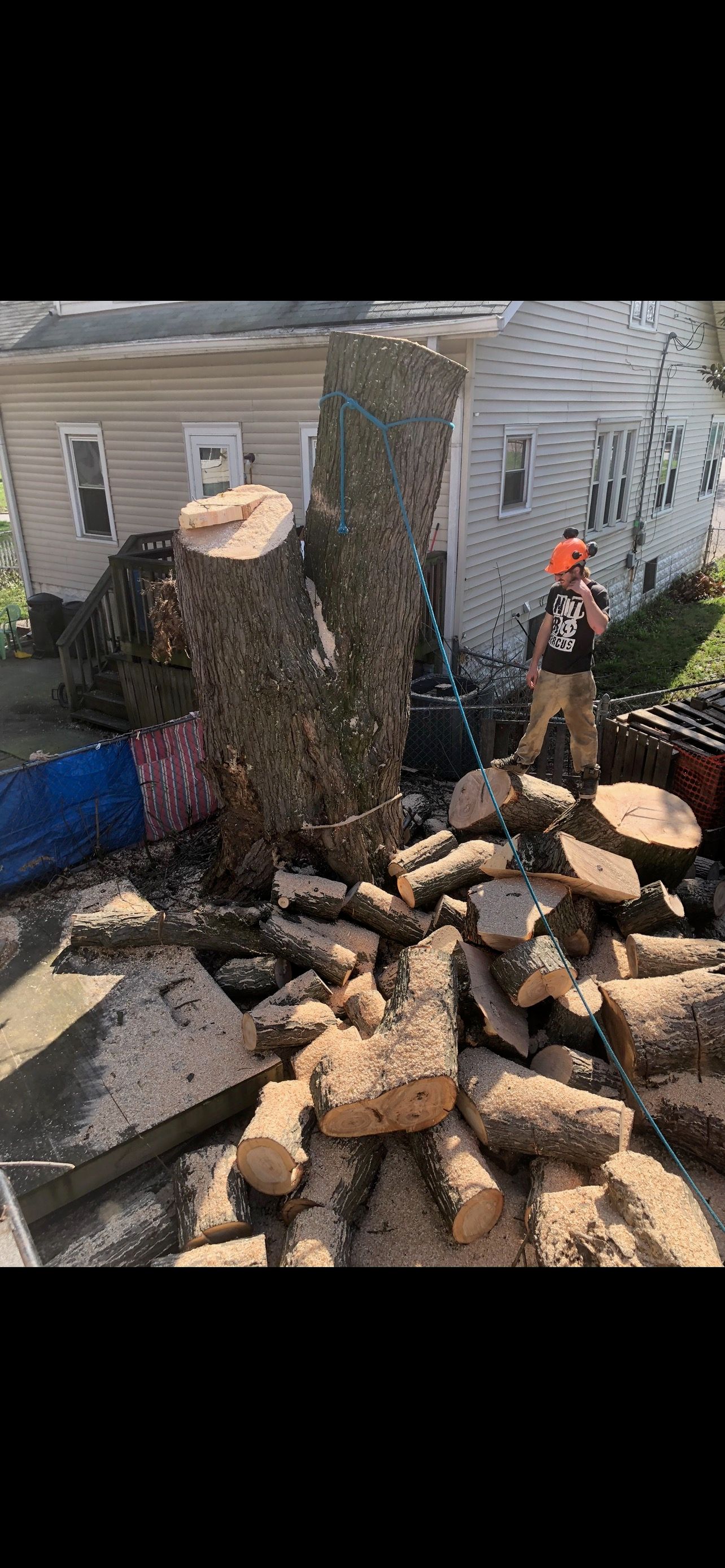 Tree Service Wood  | West Point, KY | L & S Tree Service