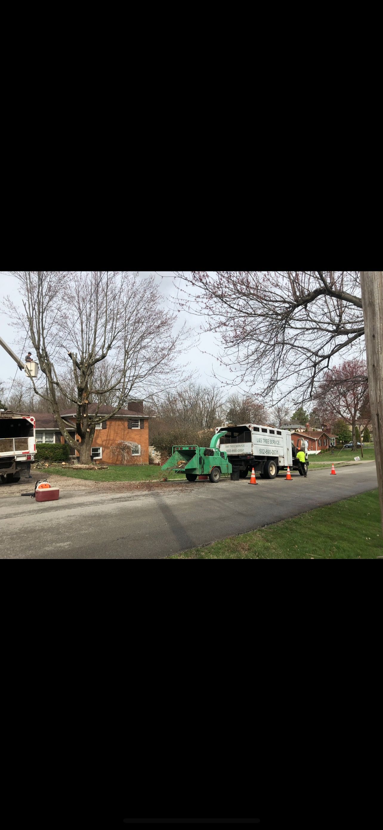 Tree Service Image  | West Point, KY | L & S Tree Service